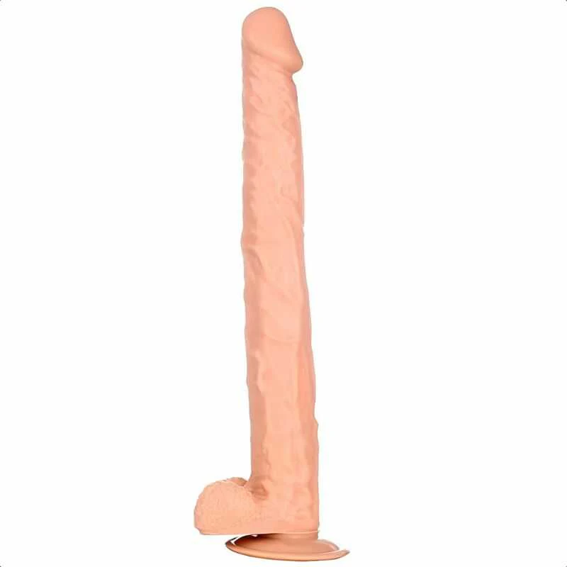 Vorschaubild 4